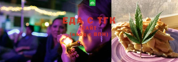 индика Верхний Тагил