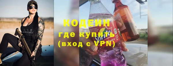 индика Верхний Тагил