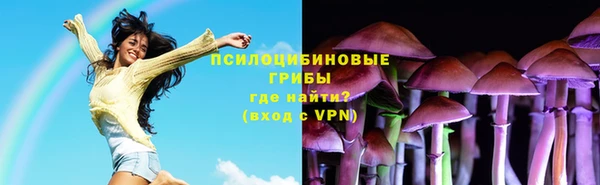 соль ск Верея