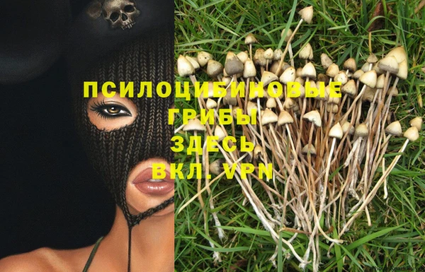 соль ск Верея