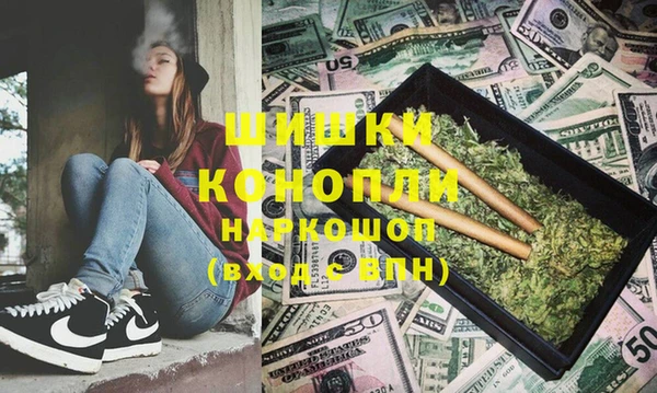 индика Верхний Тагил