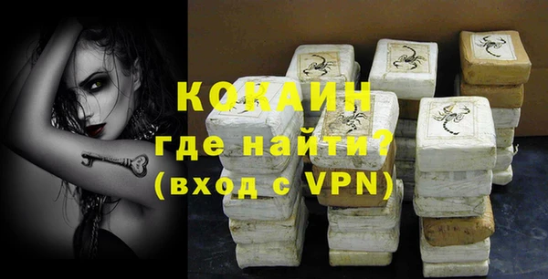 индика Верхний Тагил