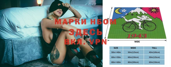 индика Верхний Тагил