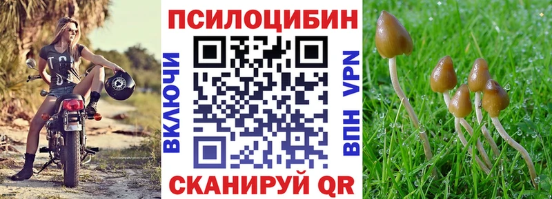 Псилоцибиновые грибы Psilocybine cubensis  Купить  Ужур 
